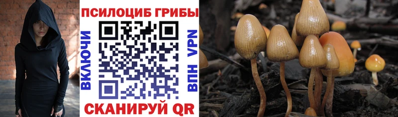 Галлюциногенные грибы прущие грибы Купить Коммунар